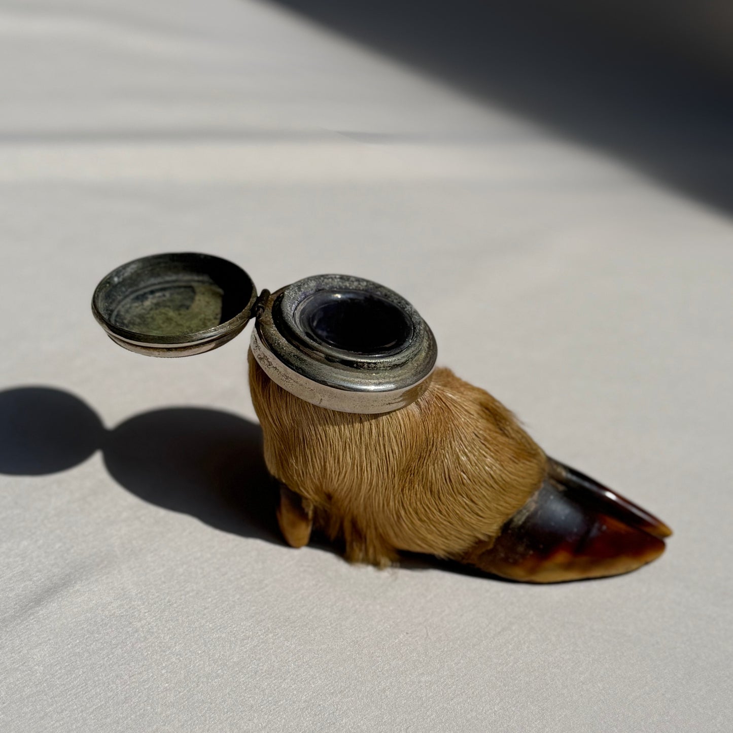 Taxidermy Deer Hoof Inkwell Victorian Era Writing Accessory