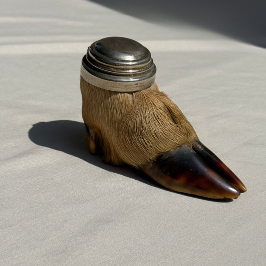 Taxidermy Deer Hoof Inkwell Victorian Era Writing Accessory
