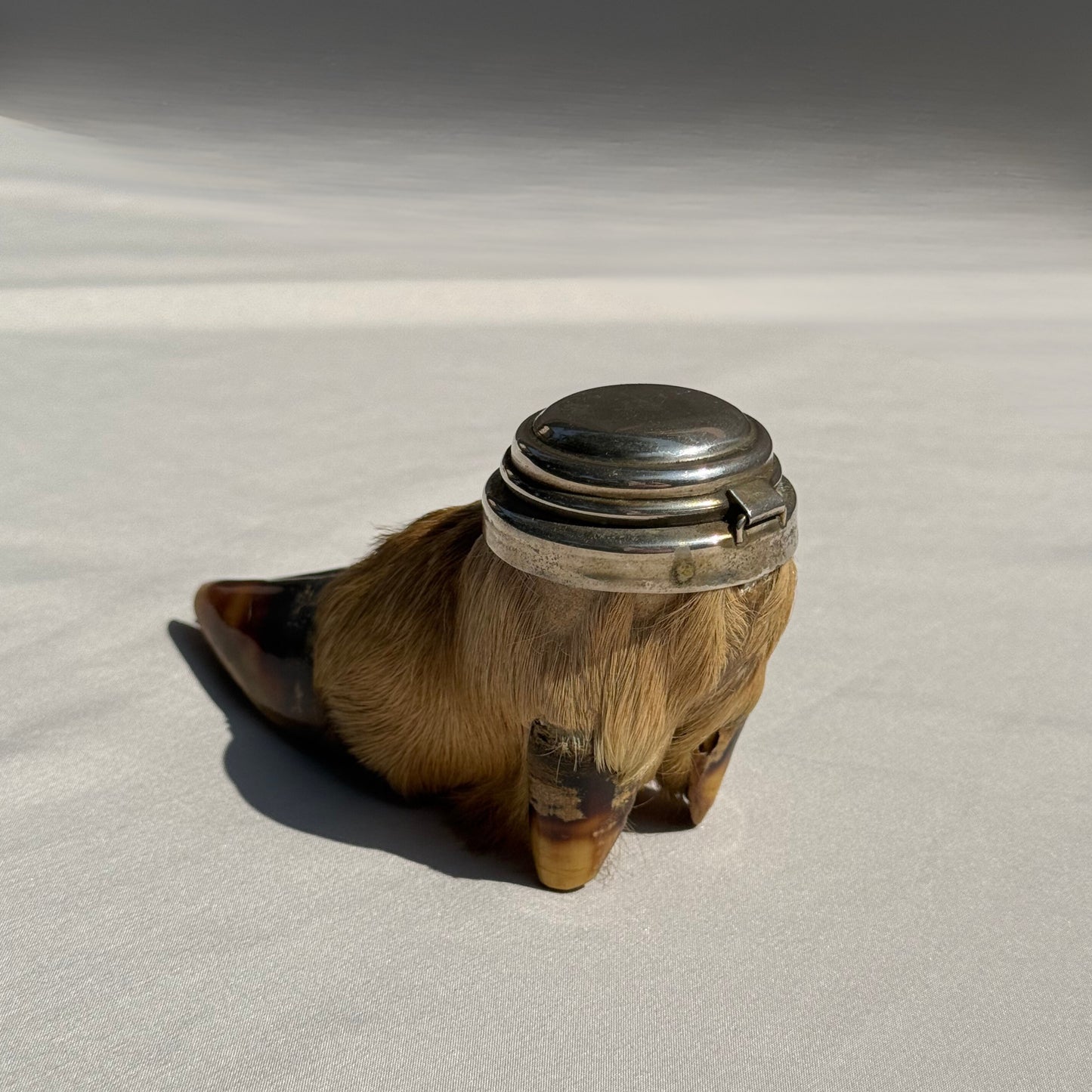 Taxidermy Deer Hoof Inkwell Victorian Era Writing Accessory